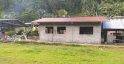 Urb. Santa Elena (Primera Etapa)