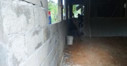 Urb. Santa Elena (Primera Etapa)