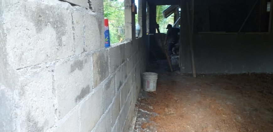 Urb. Santa Elena (Primera Etapa)