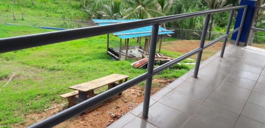 Preescolar en Milla 3 Almirante