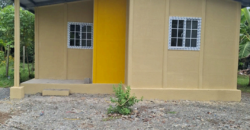 Proyecto de Interés Social de MIVIOT, 300 Viviendas en Changuinola