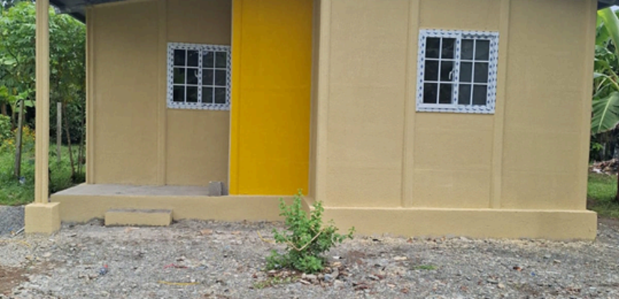 Proyecto de Interés Social de MIVIOT, 300 Viviendas en Changuinola