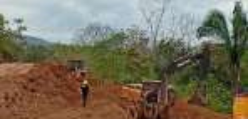 Alquiler de Horas Máquina de Equipo Pesado / Las Palmas / Veraguas